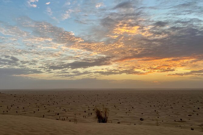 Desert tours and adventurous camel trekking through the Sahara - Matmata Cave Dwellings: Troglodyte Houses as a Reality Check