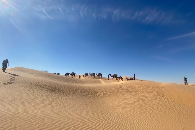 Desert tours and adventurous camel trekking through the Sahara - Days 2 to 6: Life on the Route Through El Hedan, La Ghuezza, and More