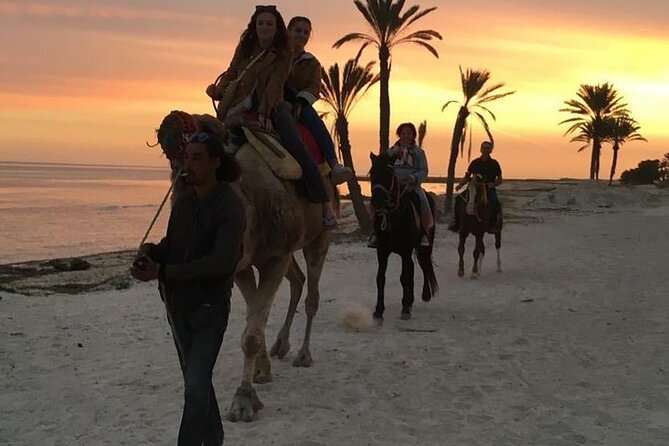 Discovery ride on horseback or camel 2h30 - Price and Value in Djerba: Is $45.36 a Good Deal for 2h30?