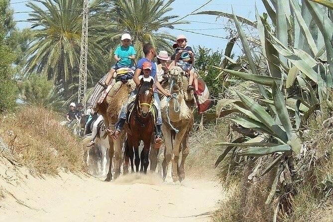 Discovery ride on horseback or camel 2h30 - Timing, What to Expect Minute by Minute, and How to Plan Your Day