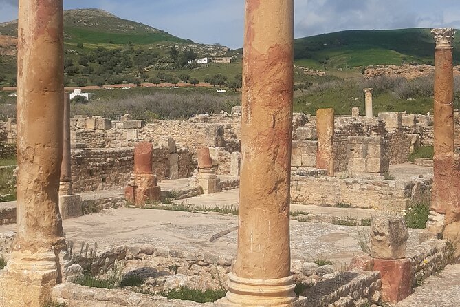 Dougga and Bulla Regia Guided Tour From Tunis - Guides and drivers: the human factor that makes ruins click