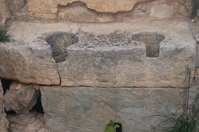 Dougga and Bulla Regia Guided Tour From Tunis - Bulla Regia: underground houses, the Venus mosaic, and real focus