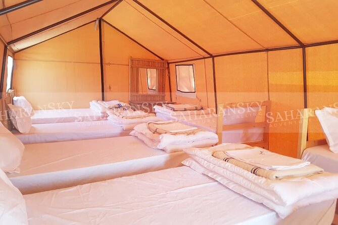 Douz Overnight Camp Stay in Sahara Desert with Dinner By Camel - First Contact in Douz: The 4:30 pm Start Matters