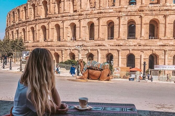 El Jem and Monastir Full-Day Tour with Lunch from Tunis or Hammamet - El Jem Museum and the Mosaics That Make It Personal