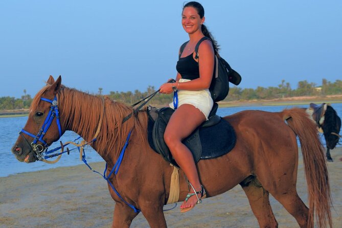Explore Djerba by camel and horse - Key Highlights You Should Know