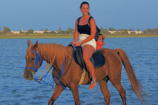 Explore Djerba by camel and horse - Choosing Your Ride: Horse, Camel, or Carriage (What That Really Affects)