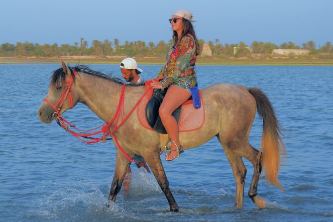 Explore Djerba by camel and horse - The Lagoon Stop for Photos: Where You Actually Slow Down