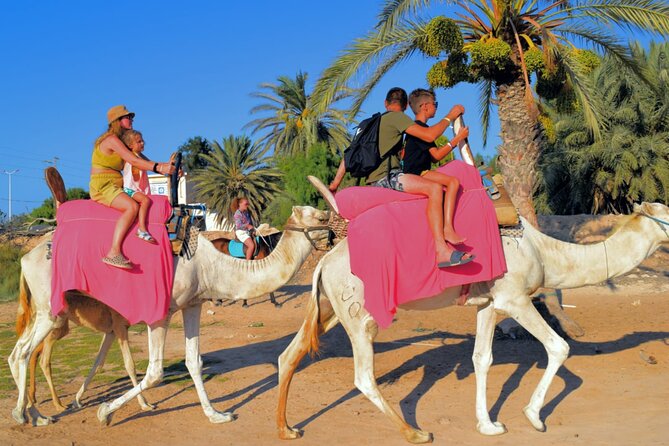 Explore Djerba by camel and horse - How Long It Takes and What That Means for Your Day