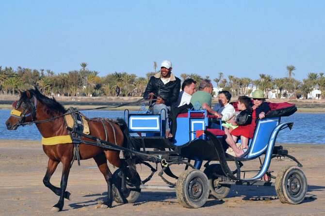 Explore Djerba by camel and horse - Group Size and Supervision: Why It Feels Managed