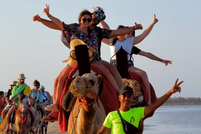 Explore Djerba by camel and horse - Price and Value: Is $42.97 Worth It?