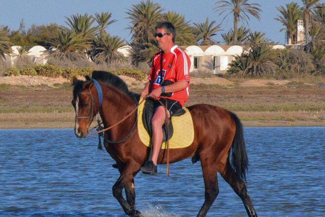 Explore Djerba by camel and horse - The Outbound Ride on Berber Tracks: Time for Quiet, Not Traffic