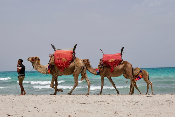 From Djerba : 1 day in the footsteps of Star Wars "Mos Eisley" - Your 7:00 am start, 8-hour rhythm, and the comfort math