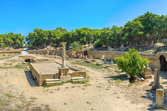 From Hammamet or Tunis: Carthage, Bardo, Sidi Bou said and Medina - Carthage Archaeological Site: Five-Story Homes, Coast Views, and Roman City Scale