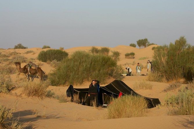 From Tozeur: 3-Day Desert Trip - Tozeur to Chott Djerid: A Salt Lake Start That Feels Like Another Planet