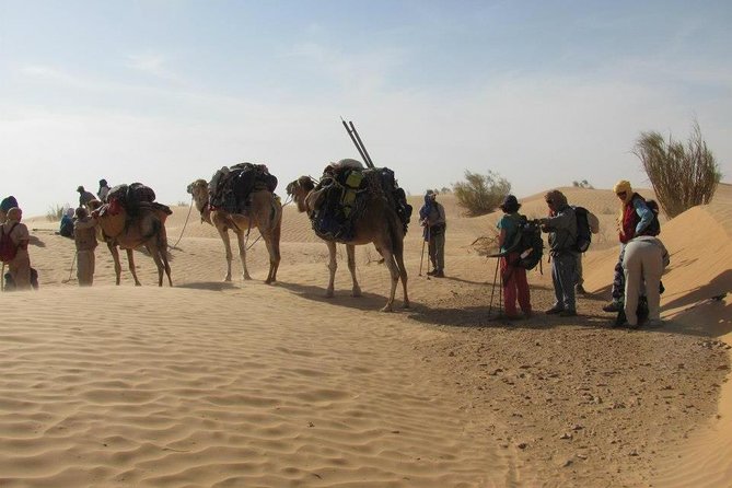 From Tozeur: 3-Day Desert Trip - How Good Guides Make or Break Your Camel and Camp Experience