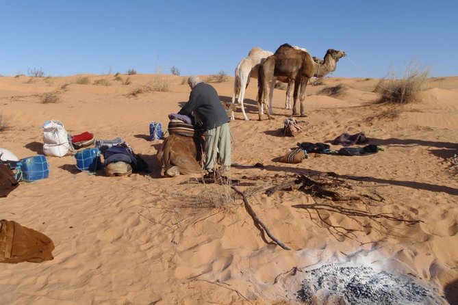 From Tozeur: 3-Day Desert Trip - Who This Trip Fits Best (And Who Might Want a Different Plan)
