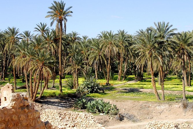 From Tunis: Star Wars 5 day tour - Sleeping under Berber tent at Sabria, what to expect
