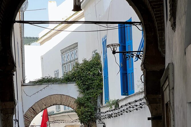 Full-Day Shore Excursion Private Tour in Tunisia Carthage ,Medina, Sidi Bou said - Sidi Bou Said lighthouse and Andalusian village views