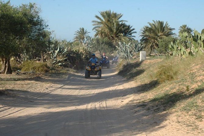 Great ride forest and blue lagoon in quad - Price and value: what $88.09 really buys you