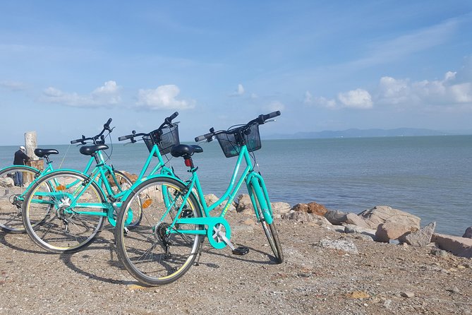 Guided Bike Tour of Carthage Archeological Site in Tunisia - Guides, Safety, and How the Bike Ride Really Works in Tunisia