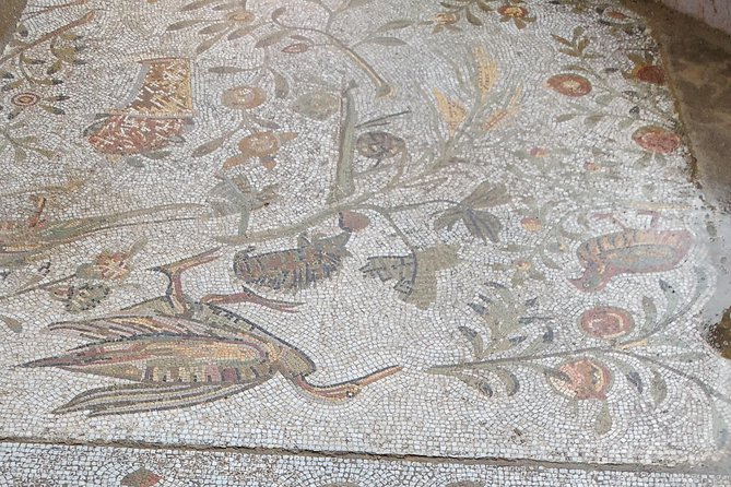 Guided Bike Tour of Carthage Archeological Site in Tunisia - Stop 1, Tophet de Carthage: Punic Culture in a Sanctuary Setting
