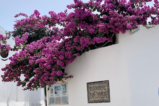 Half a day in Sidi Bousaid from Hammamet - Your 3 hours in Sidi Bou Said: how to use the time like a local