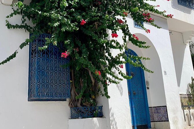 Half a day in Sidi Bousaid from Hammamet - Common concerns to watch for (and how to avoid them)