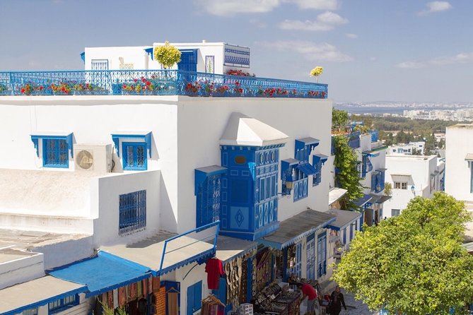 Half-Day Carthage, Sidi Bou Said Private Tour with Licensed Guide - Key highlights at a glance