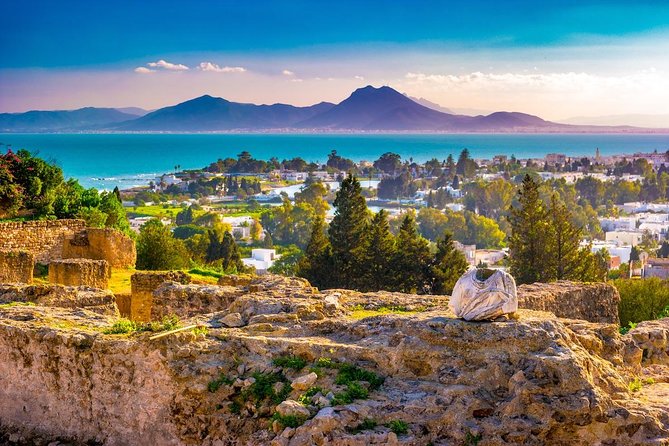 Half-Day Carthage, Sidi Bou Said Private Tour with Licensed Guide - Should you book this Carthage and Sidi Bou Said private tour?