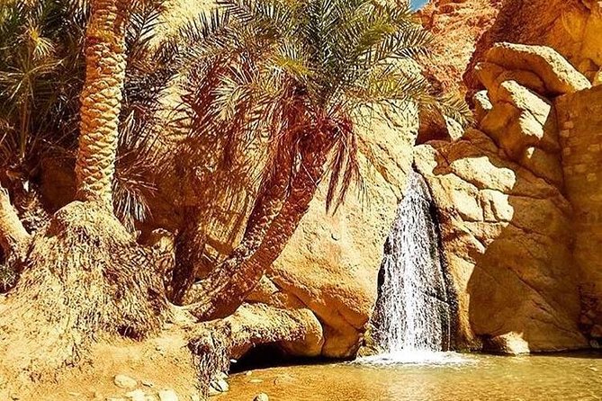 Half-day excursion the mountain oases from Tozeur - Why This Oasis Circuit Feels Efficient (Not Rushed)