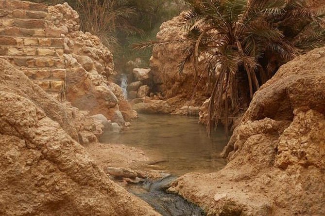 Half-day excursion the mountain oases from Tozeur - Mides Valley Near the Algerian Border: Ruins, Fossils, and Mineral Clues