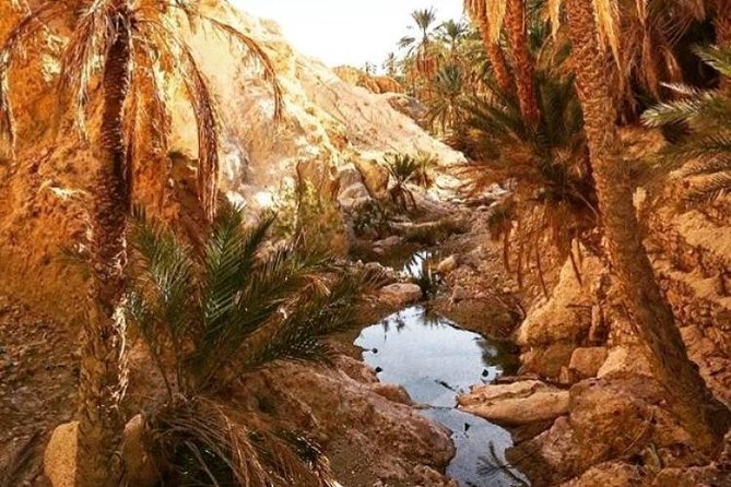Half-day excursion the mountain oases from Tozeur - Comfort, Timing, and What to Bring for a Smooth Half-Day