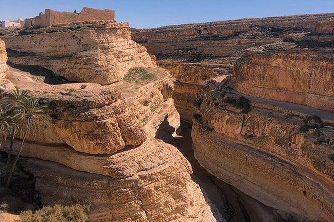 Half-day excursion the mountain oases from Tozeur - Price and Value: Is $65.31 Fair for What You Get?