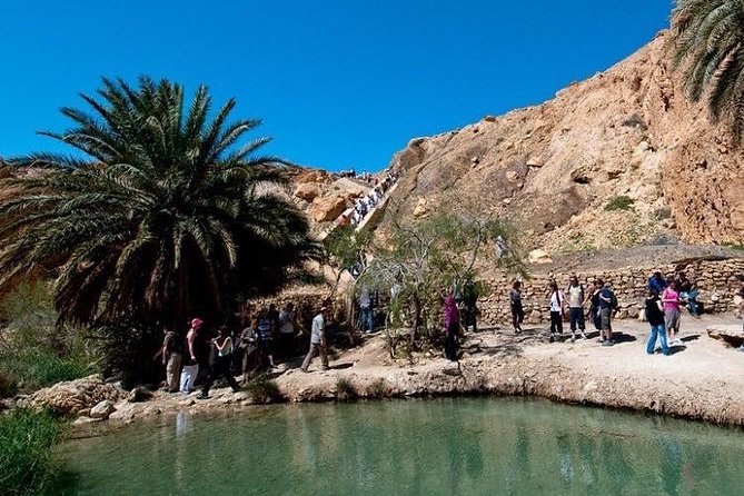Half-day excursion the mountain oases from Tozeur - Who Should Book This Oasis Tour?