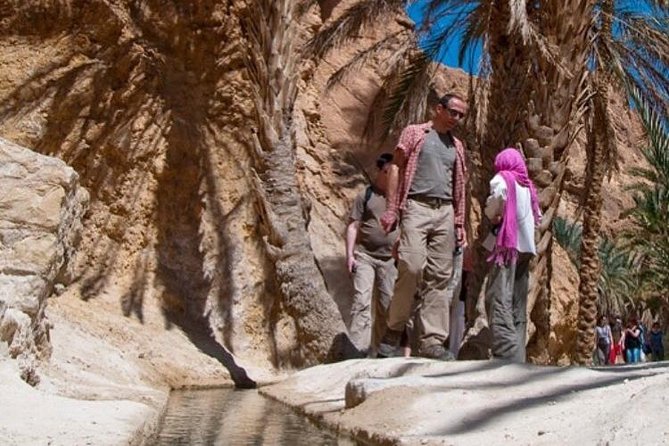 Half-day excursion the mountain oases from Tozeur - Tamerza Canyon: Springs, Contrast, and the Canyon’s Atmosphere