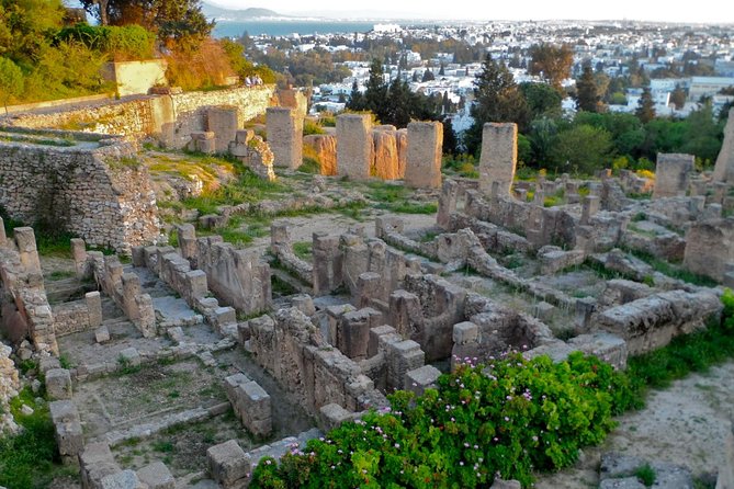 Historical Tour of Ancient Carthage - Key things to know before you go