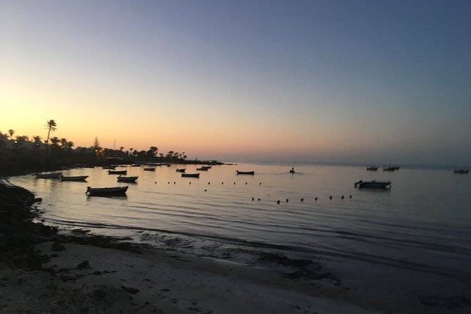 Horseback riding at sunrise 3h - Key highlights you can plan around