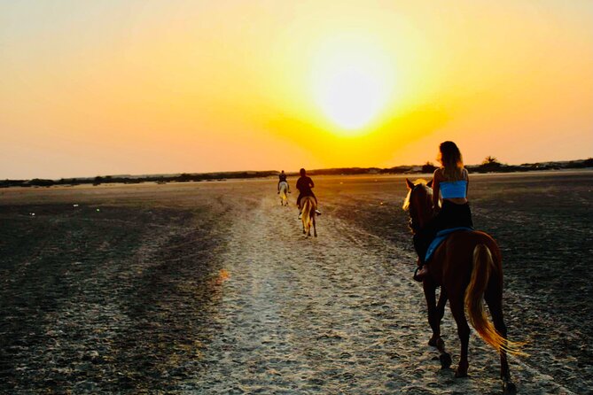 Horseback riding at sunrise 3h - What experienced riders really means here (the 3 gaits requirement)
