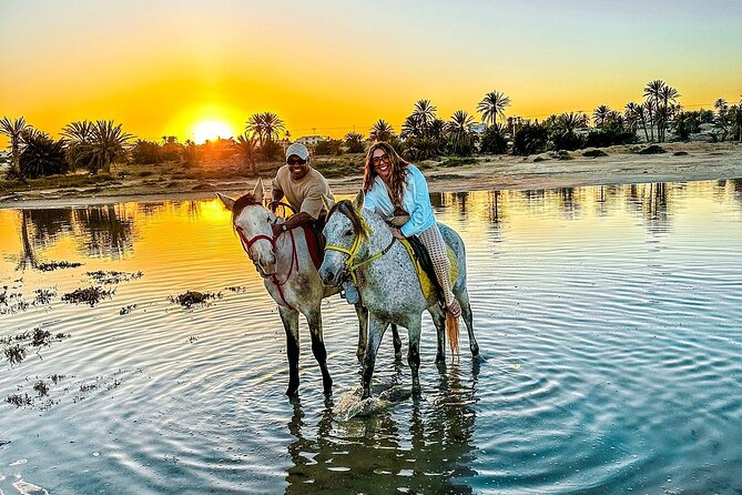 Horseback riding or camel at sunset in Djerba - Key things to know before you go