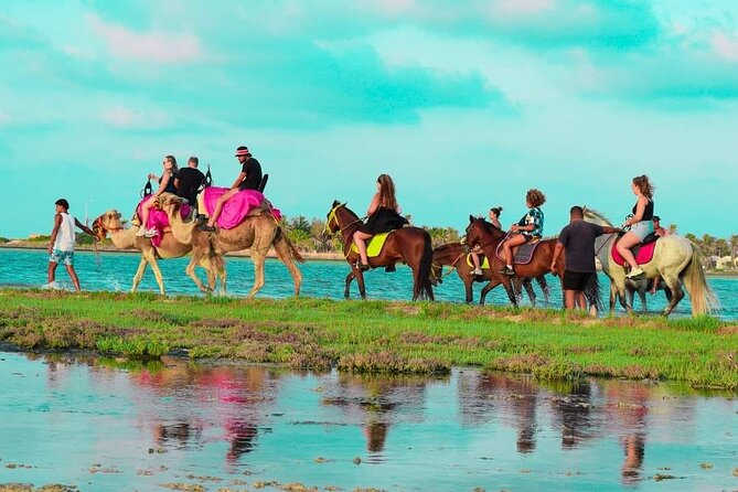 Horseback riding or camel at sunset in Djerba - Horse vs camel at sunset: how to choose what fits you