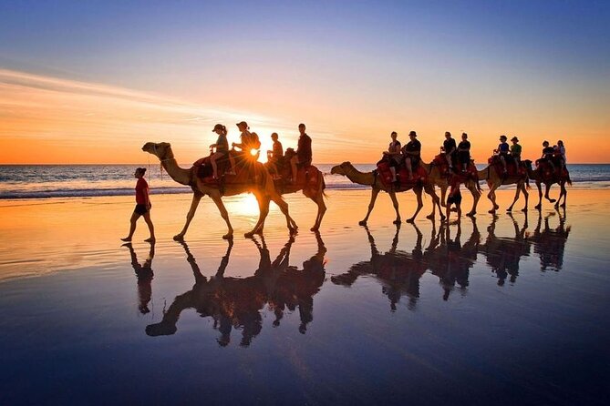 Horseback riding or camel at sunset in Djerba - Pickup, transport, and how not to lose time