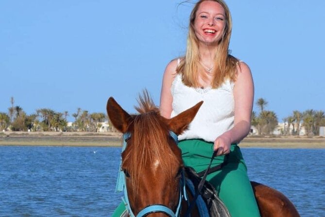 Horseback riding or camel at sunset in Djerba - Price and what $29.04 buys you in 1 hour