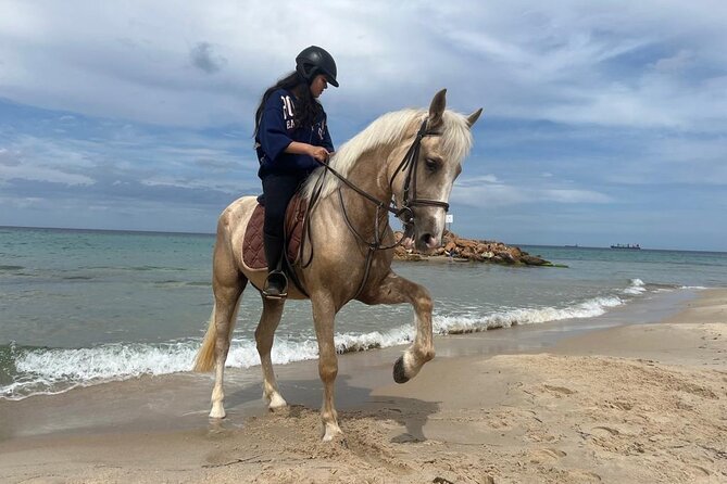 Horseback riding with private transfer - Hotel pickup to horse stable, without the stress