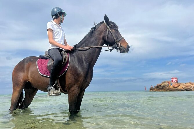 Horseback riding with private transfer - What the 3-hour experience feels like in real time