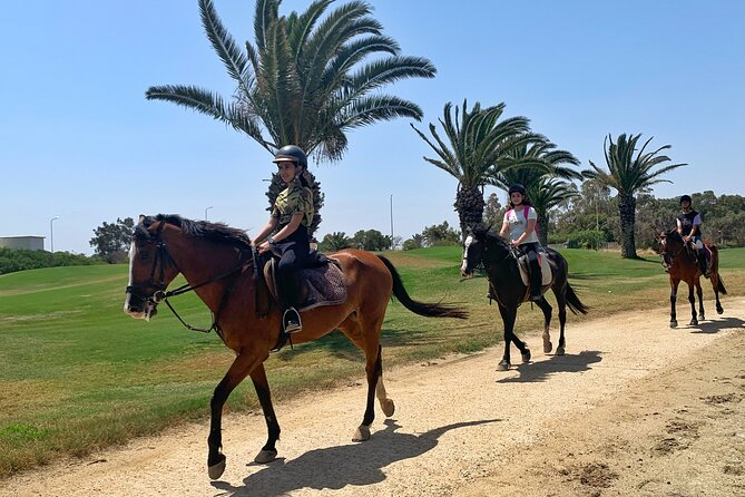 Horseback riding with private transfer - Horses, first-timer nerves, and what to expect