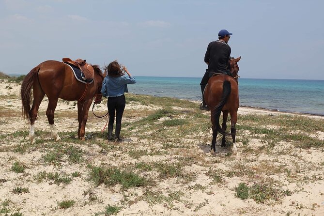 Horseback riding with private transfer - Why the private transfer is worth it at this price