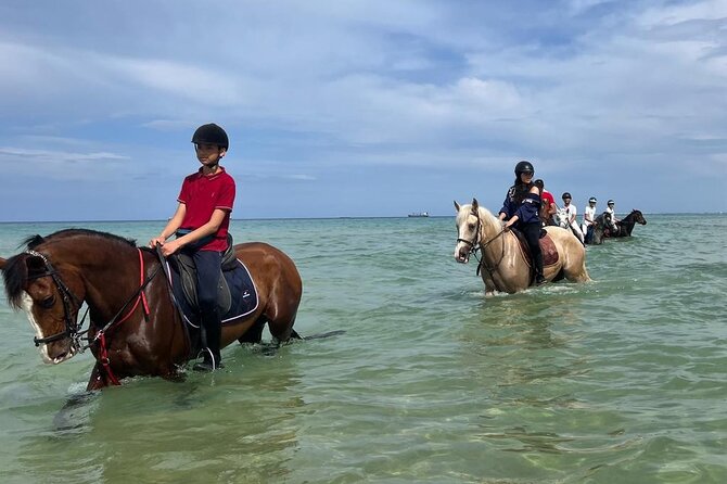 Horseback riding with private transfer - Who this horseback ride suits best