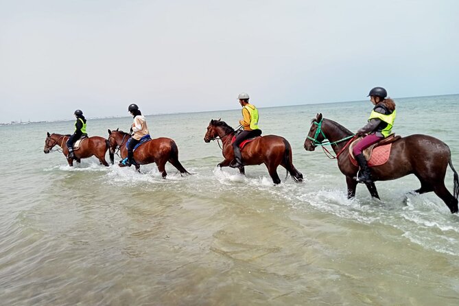 Horseback riding with private transfer - Choosing the route: countryside walks or a beach ride
