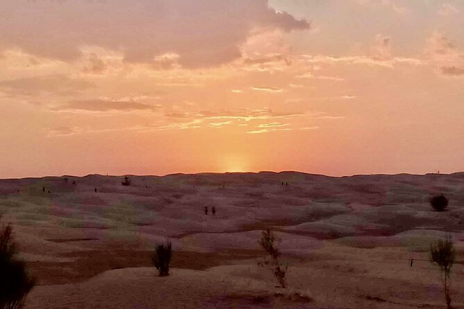 Ksar Ghilaine and Chneni Tataouine 1 day tour in Tunisia - Key highlights worth circling