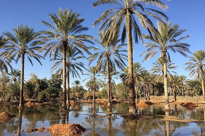 Ksar Ghilaine and Chneni Tataouine 1 day tour in Tunisia - Transport time and a realistic expectations check